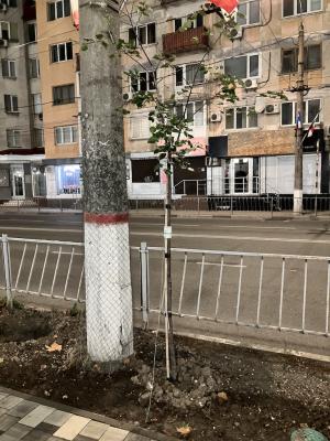 Прикрепленное изображение: IMG_5759.jpeg